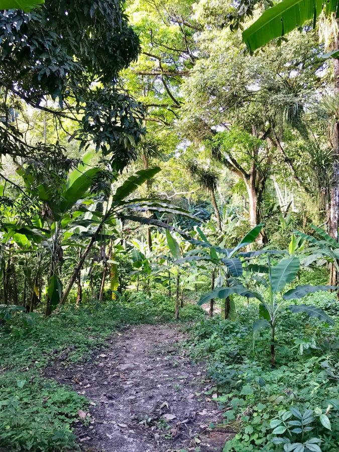 Quartos Dossel - Sitio Belo Monte Bed & Breakfast ปาคอตชิ ภายนอก รูปภาพ